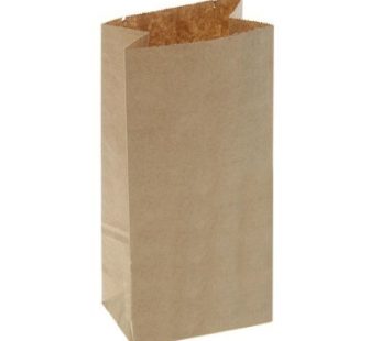 Popieriniai kraft maišeliai be rankenų ECO BAG